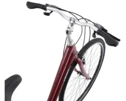 IZip Alki 2 Step Thru Comfort Bike (Red) (13" Seat Tube) (XS) -Specialized Shop 16 790 4133 6