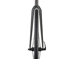 Ritchey WCS Carbon Road Fork (Matte Carbon) (1-1/8") (46mm Rake) (2020) -Specialized Shop 34356117005 2