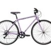 Fairdale 2022 Nora V. Lookfar 700c Bike (Matte Lavender) (M) (Limited Edition)