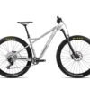 Orbea Laufey H10 Hardtail Mountain Bike (Raw Aluminum) (M) (2022)